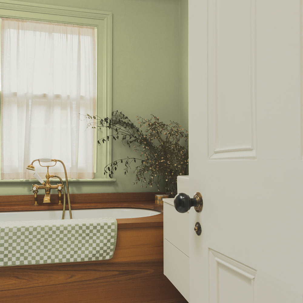 Green paint called East For Trees by COAT Paints the eco friendly paint company