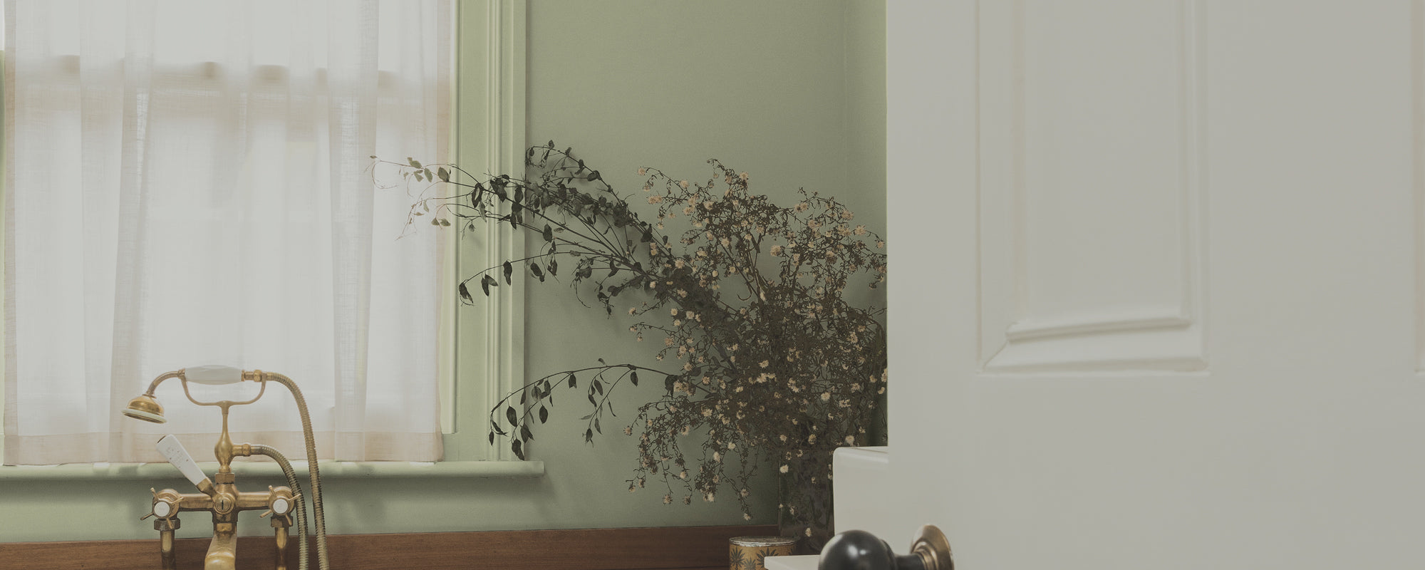 Green paint called East For Trees by COAT Paints the eco friendly paint company