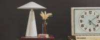 Dark Grey Green paint called The Ranger by COAT Paints the eco friendly paint company
