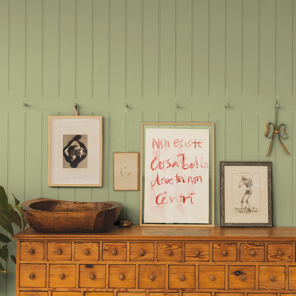 Green paint called East For Trees by COAT Paints the eco friendly paint company