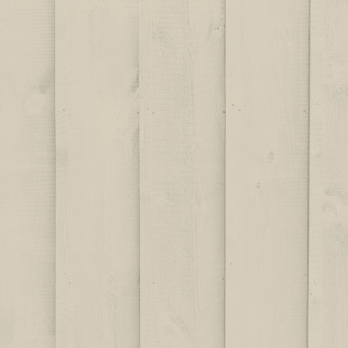 Mid Green Beige Sample Sample called Café Flore Sample by COAT Paints the eco friendly paint company