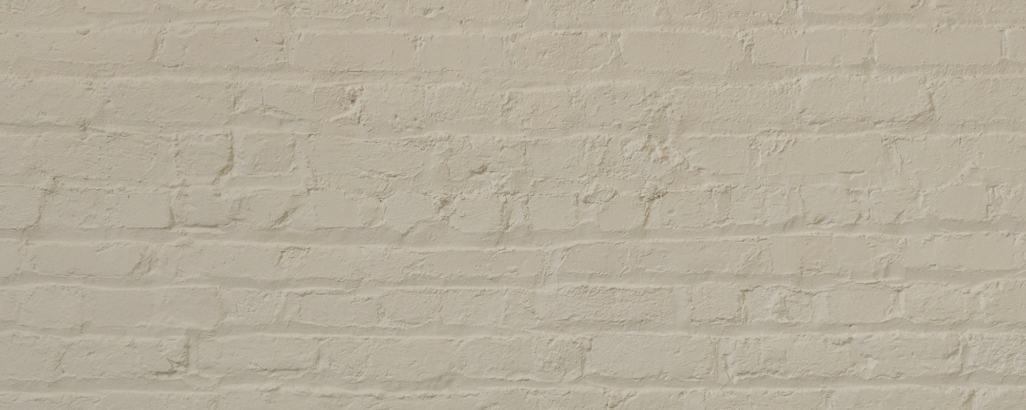 Mid Green Beige paint called Café Flore by COAT Paints the eco friendly paint company