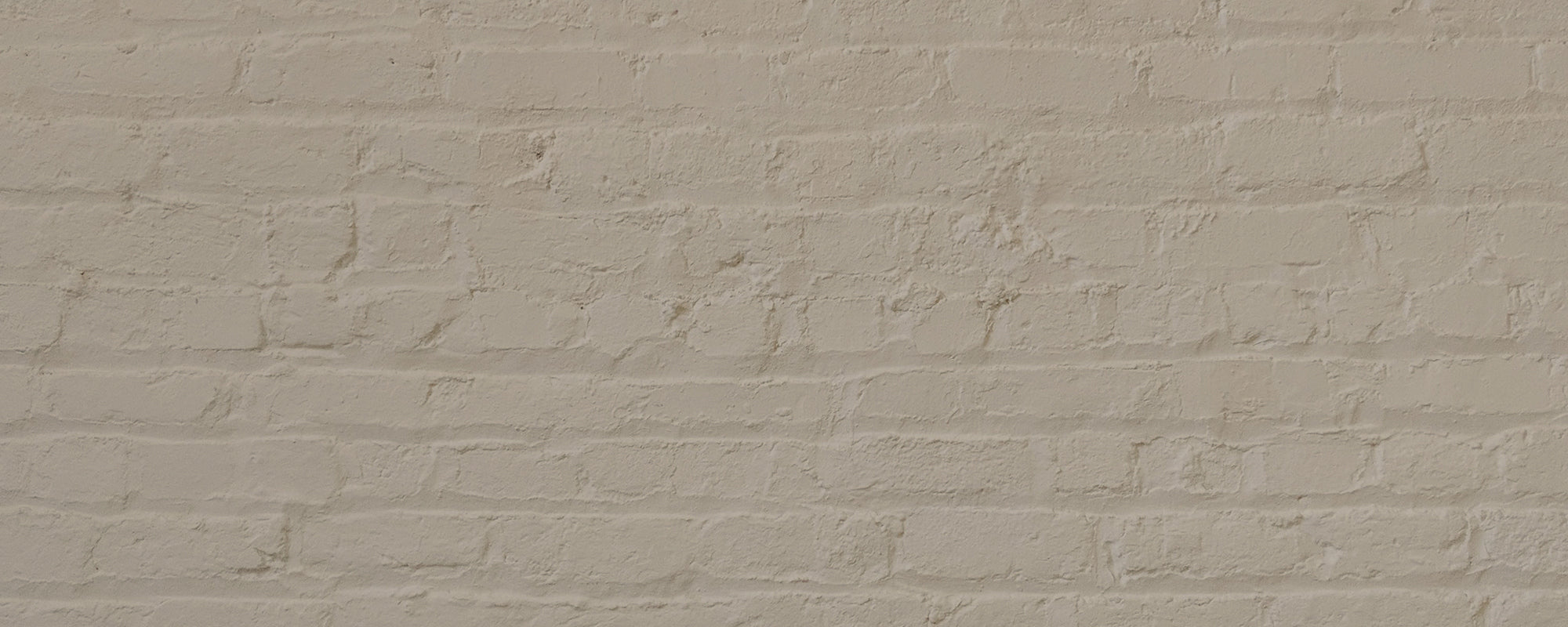 Greeny Greige paint called Cargo by COAT Paints the eco friendly paint company