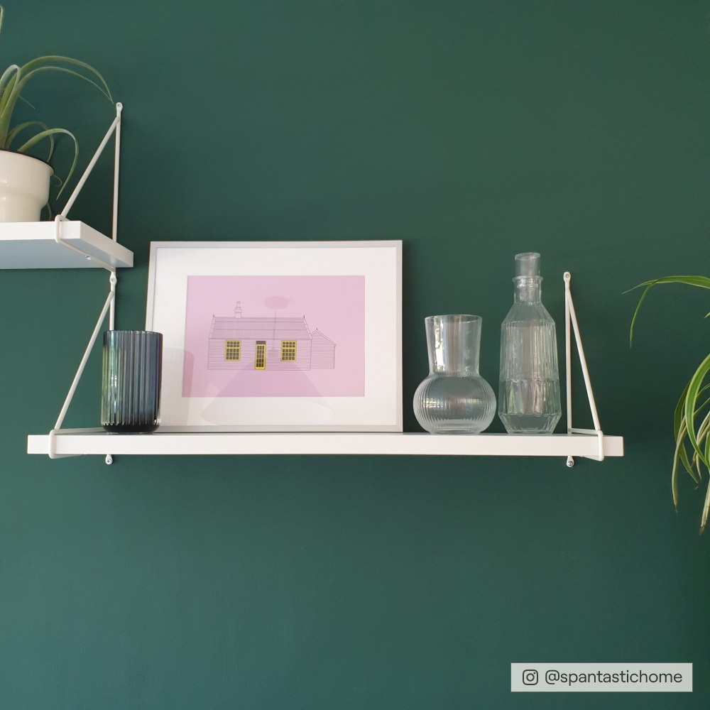 Timeless Dark Green paint called Ditch the Tie by COAT Paints the eco friendly paint company