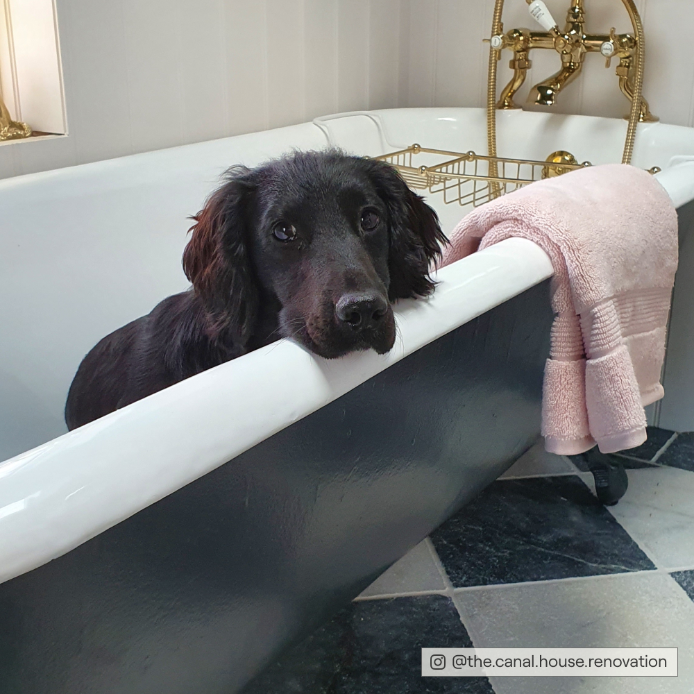 Charcoal Black paint called David Rose by COAT Paints the eco friendly paint company