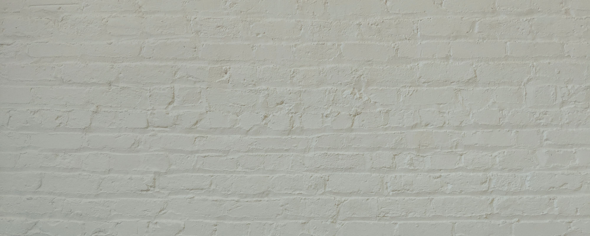 Clean Blue Green paint called Detox by COAT Paints the eco friendly paint company