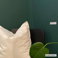 Timeless Dark Green Sample Sample called Ditch the Tie Sample by COAT Paints the eco friendly paint company