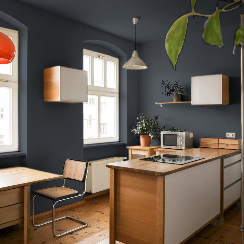 Charcoal Blue paint called Dodie by COAT Paints the eco friendly paint company