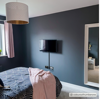 Charcoal Blue Sample Sample called Dodie Sample by COAT Paints the eco friendly paint company