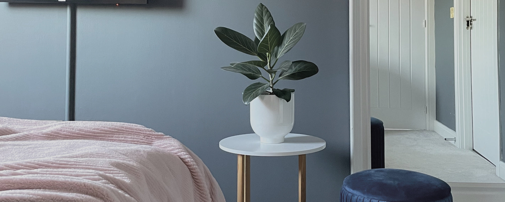 Charcoal Blue paint called Dodie by COAT Paints the eco friendly paint company