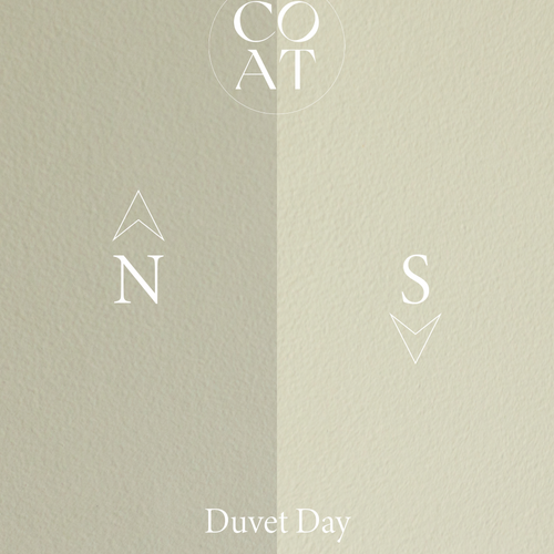 Modern Beige Sample Sample called Duvet Day Sample by COAT Paints the eco friendly paint company