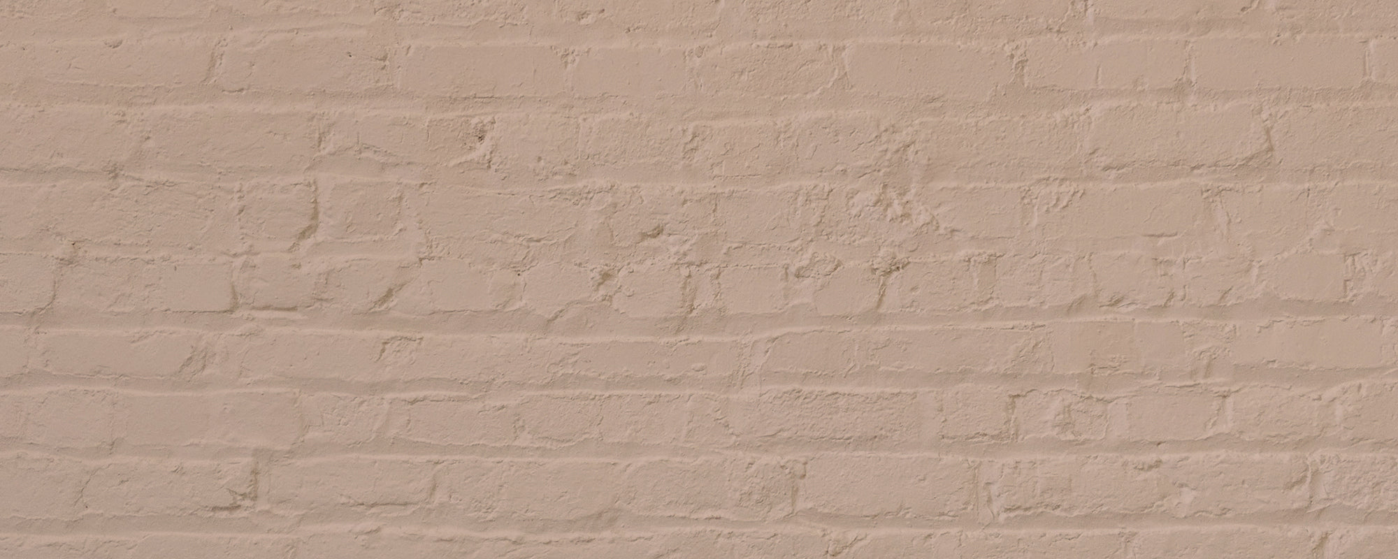 Dry Plaster Pink paint called Factor Fifty by COAT Paints the eco friendly paint company