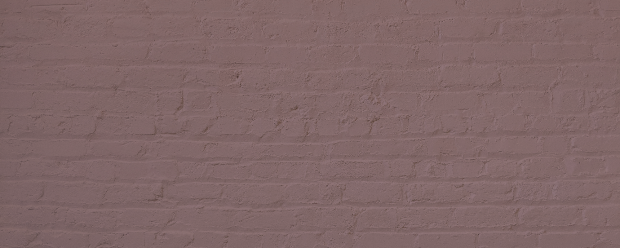 Deep Dusky Pink paint called Festival Eve by COAT Paints the eco friendly paint company