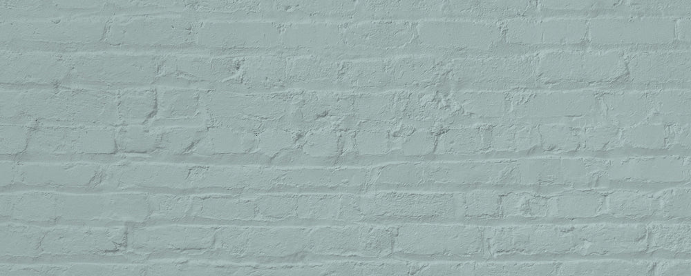 Duck Egg Blue paint called Free Range by COAT Paints the eco friendly paint company