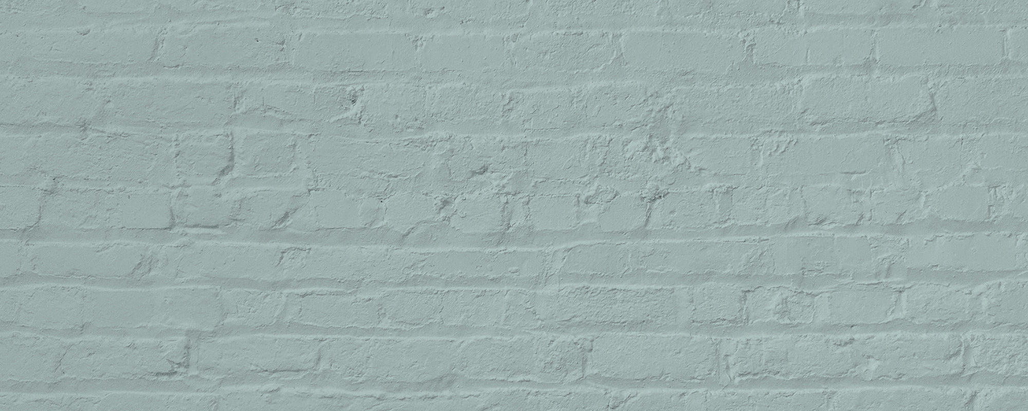 Duck Egg Blue paint called Free Range by COAT Paints the eco friendly paint company