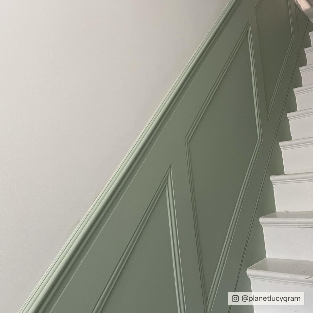 Clean Organic Green paint called Home Grown by COAT Paints the eco friendly paint company