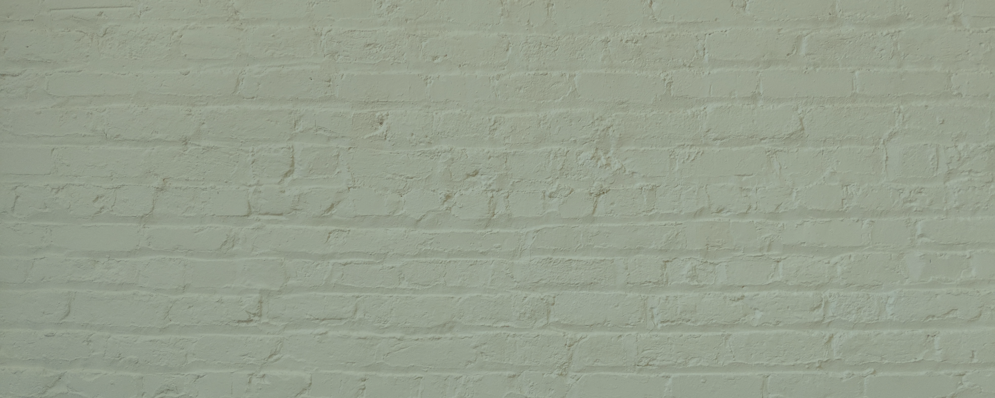 Clean Organic Green paint called Home Grown by COAT Paints the eco friendly paint company