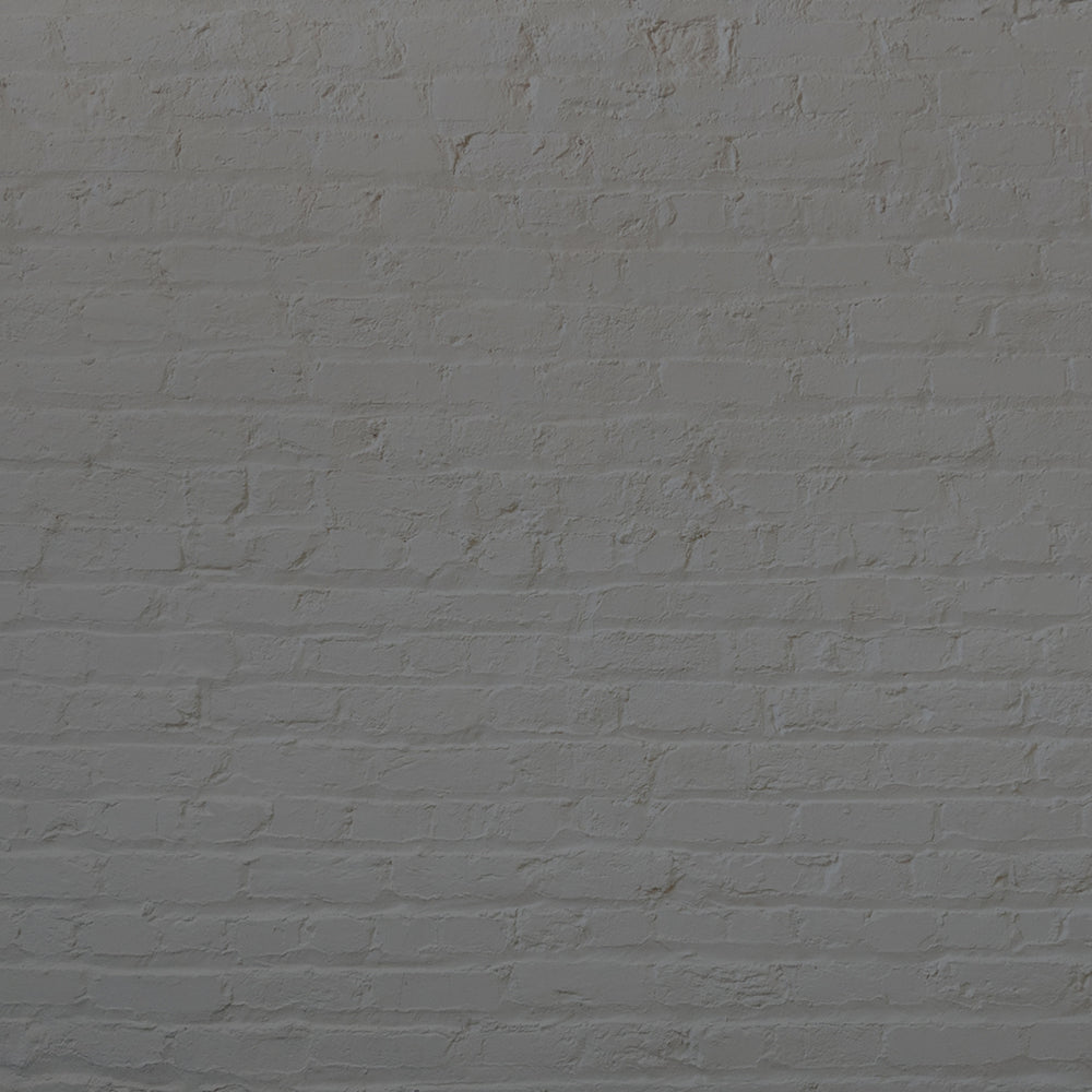 Cool Deep Grey paint called Hooley by COAT Paints the eco friendly paint company