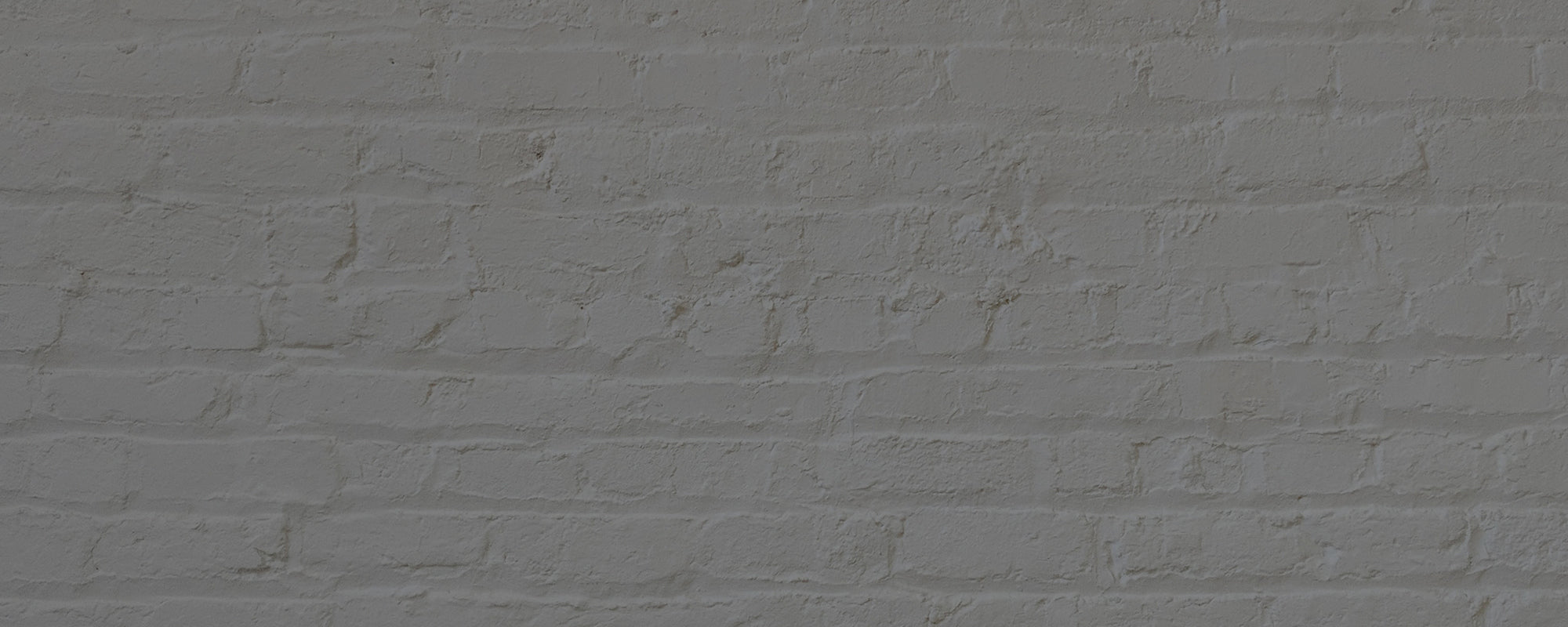 Cool Deep Grey paint called Hooley by COAT Paints the eco friendly paint company