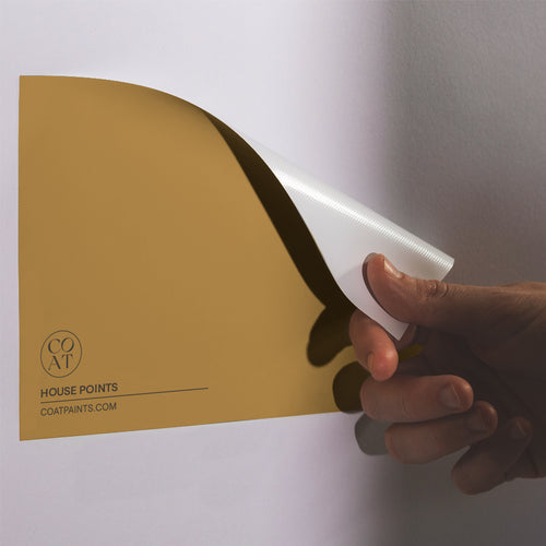 Golden Yellow Sample Sample called House Points Sample by COAT Paints the eco friendly paint company
