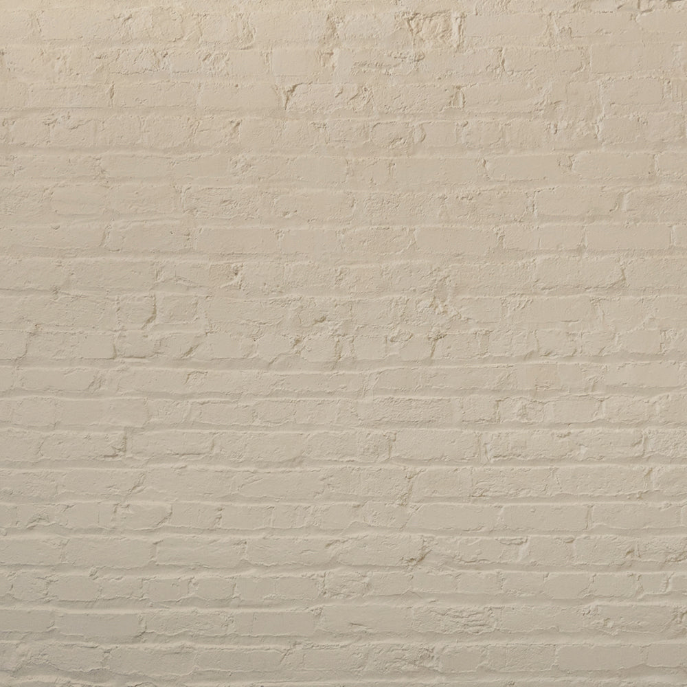Warm Beige paint called Humble by COAT Paints the eco friendly paint company