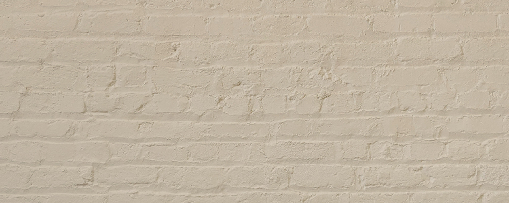 Warm Beige paint called Humble by COAT Paints the eco friendly paint company