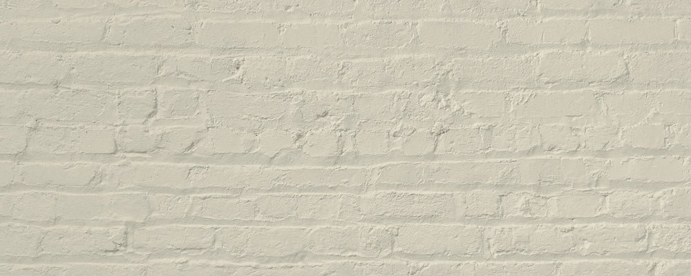 Creamy White paint called Jane by COAT Paints the eco friendly paint company