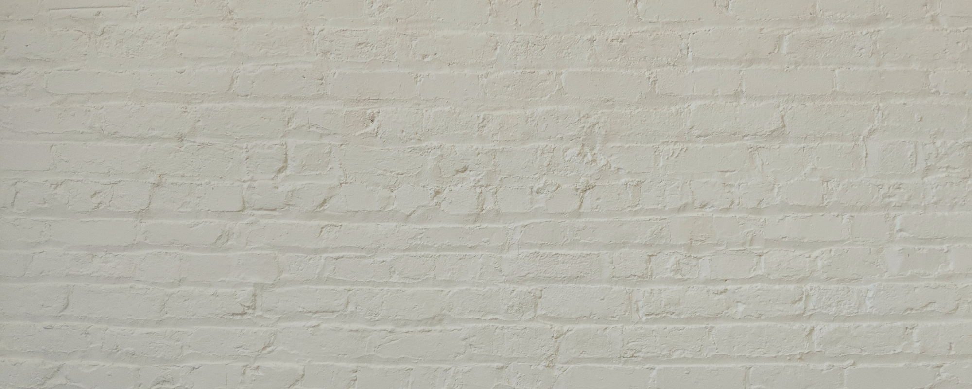 Light Green Greige paint called Kind Regards by COAT Paints the eco friendly paint company