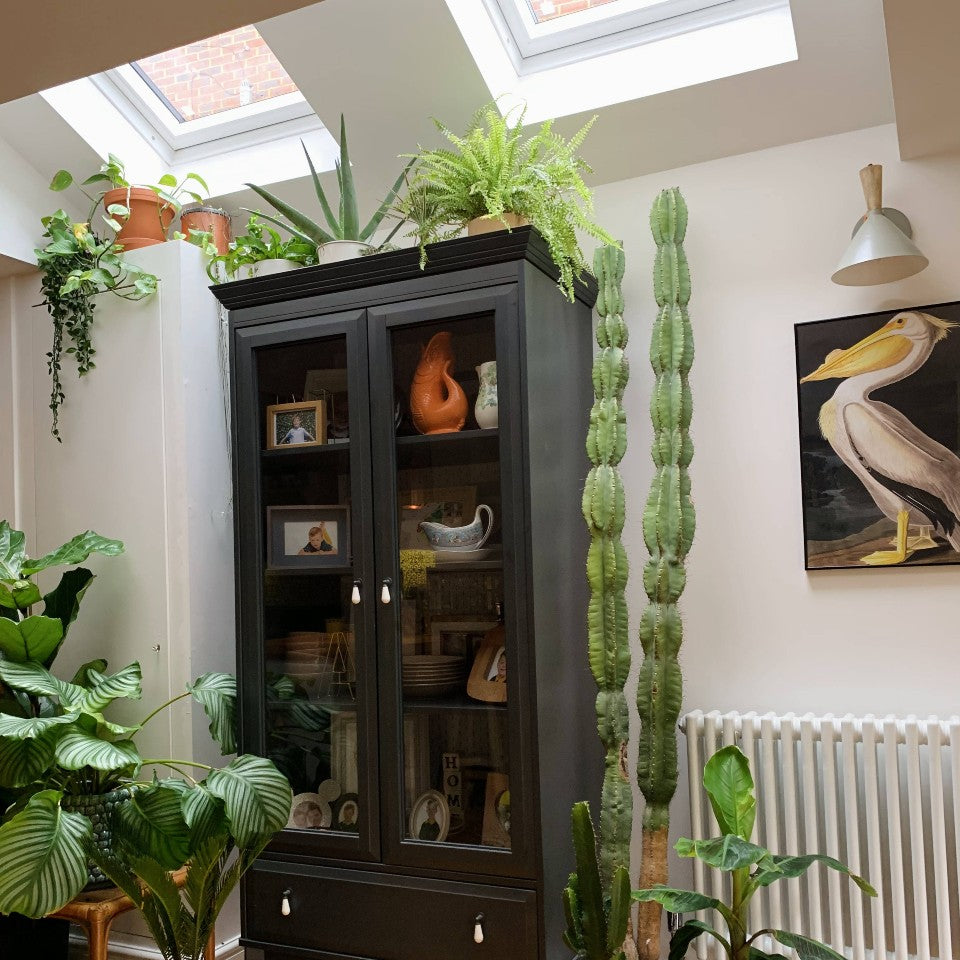 Grey Off-White paint called Low Salt by COAT Paints the eco friendly paint company