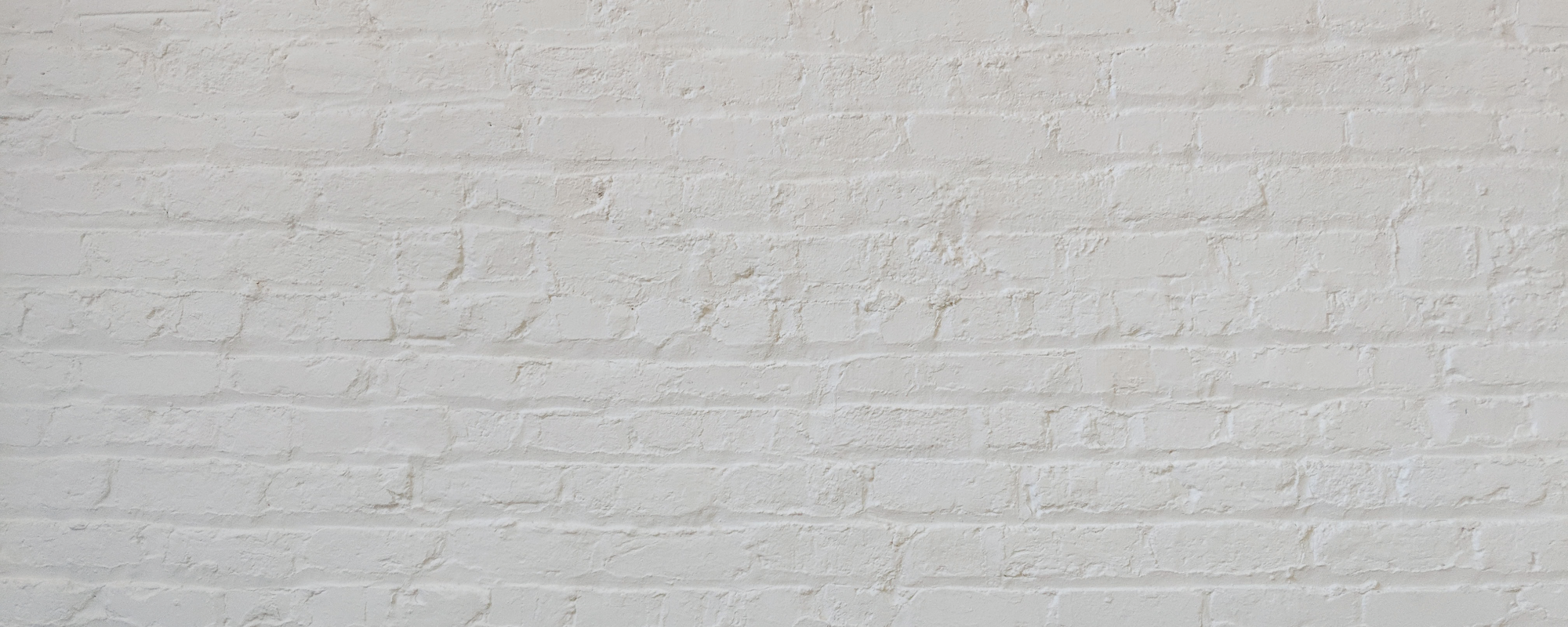 Grey Off-White paint called Low Salt by COAT Paints the eco friendly paint company