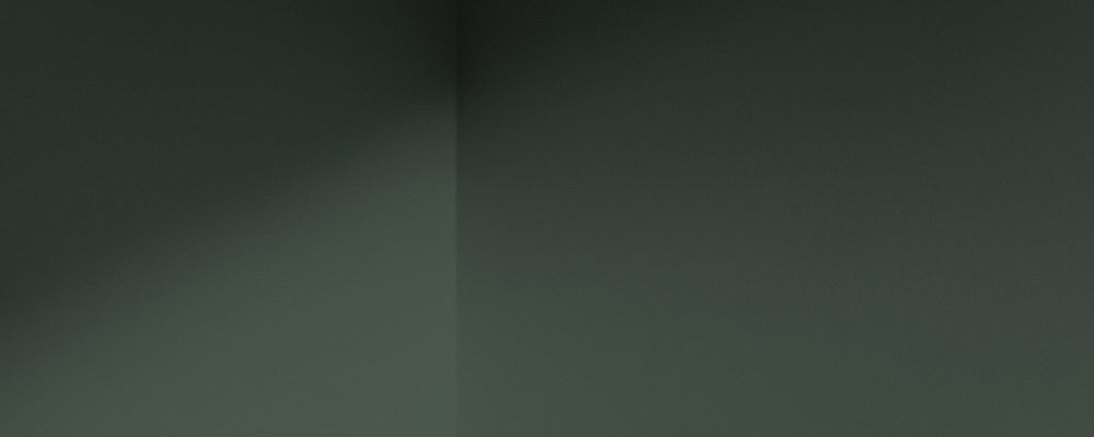 Duck Green Sample Sample called Mansard Sample by COAT Paints the eco friendly paint company