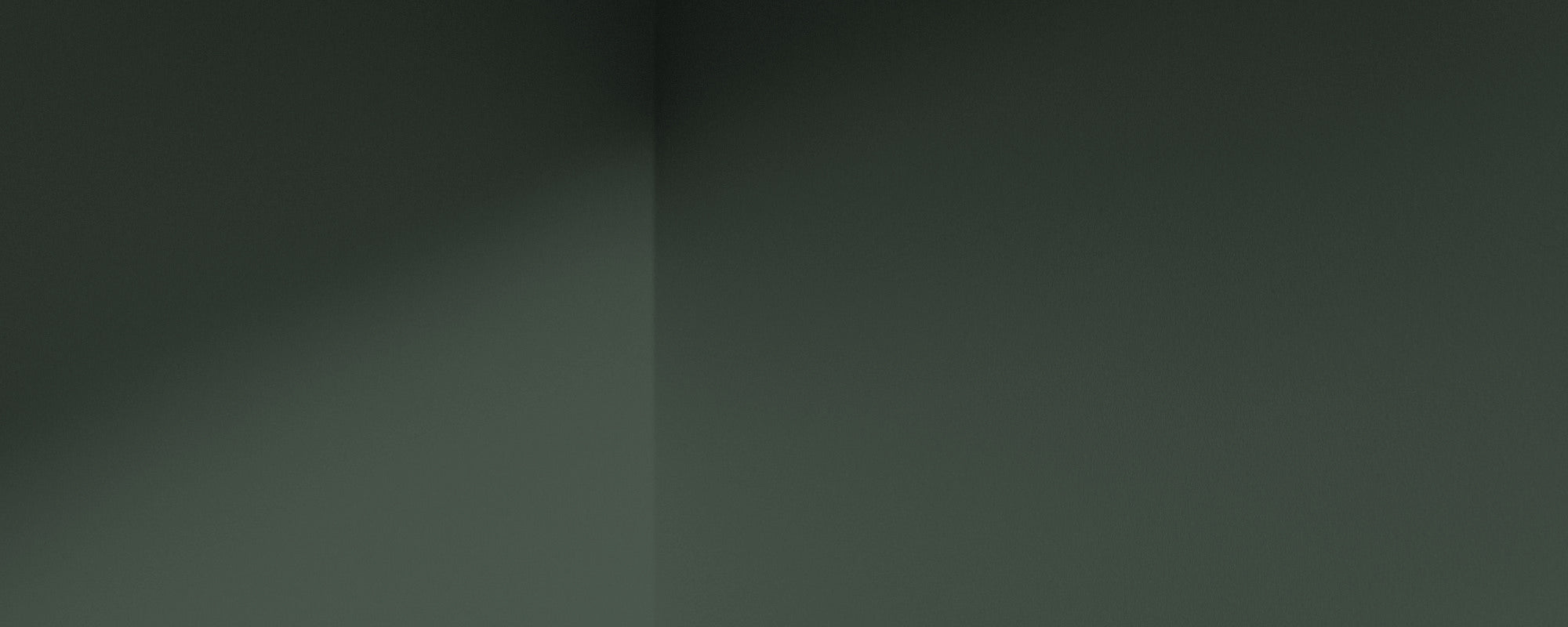 Duck Green paint called Mansard by COAT Paints the eco friendly paint company