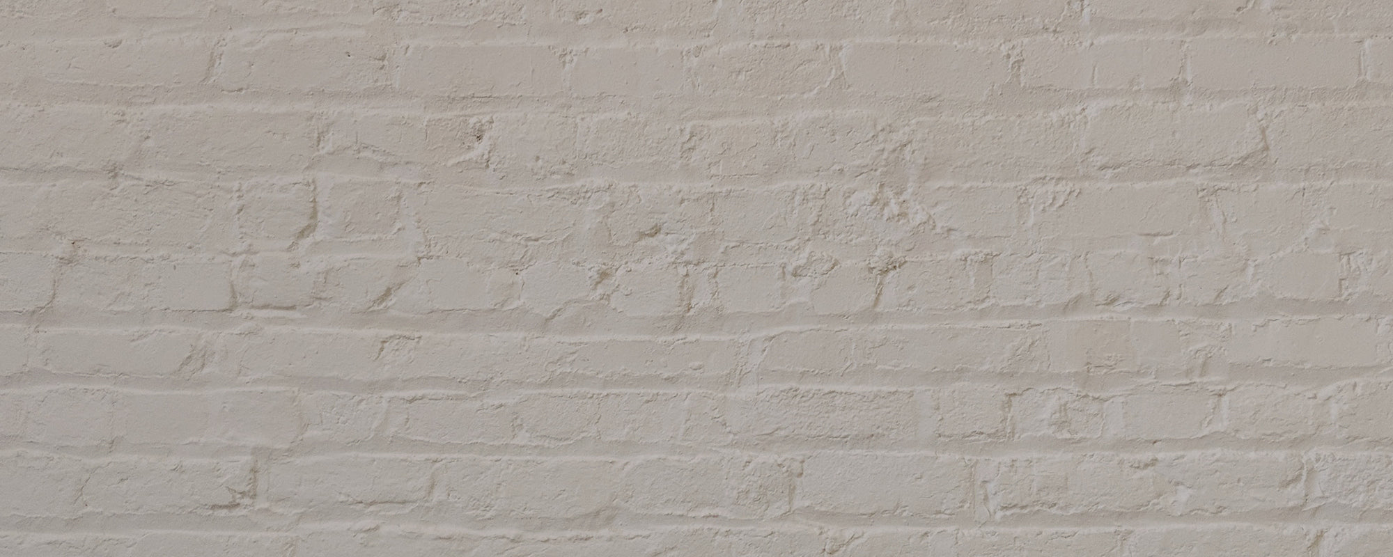 Warm Grey paint called Margot by COAT Paints the eco friendly paint company