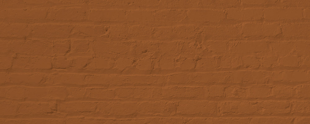 Rich Burnt Orange paint called Mezcal by COAT Paints the eco friendly paint company
