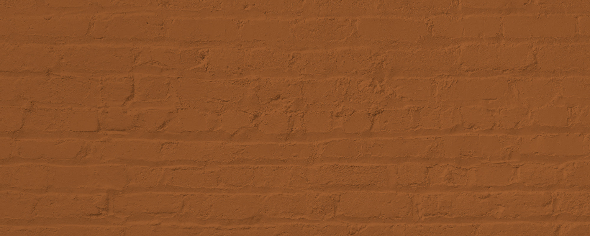 Rich Burnt Orange paint called Mezcal by COAT Paints the eco friendly paint company