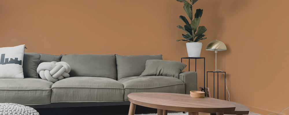 Rich Burnt Orange paint called Mezcal by COAT Paints the eco friendly paint company