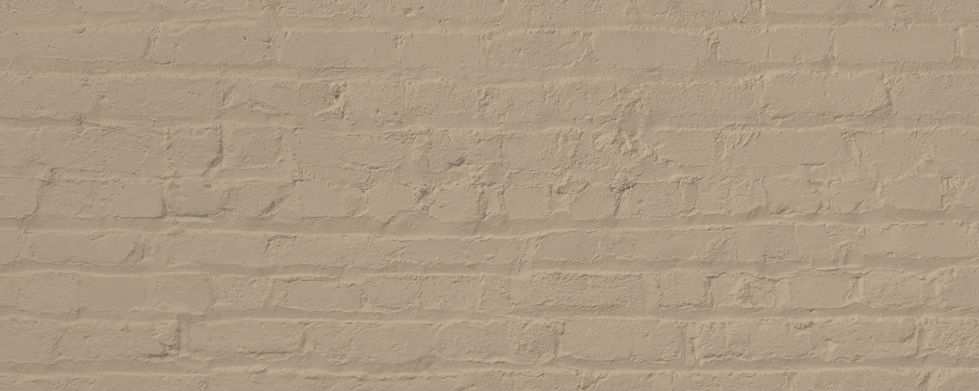 Deep Beige paint called Moving Day by COAT Paints the eco friendly paint company
