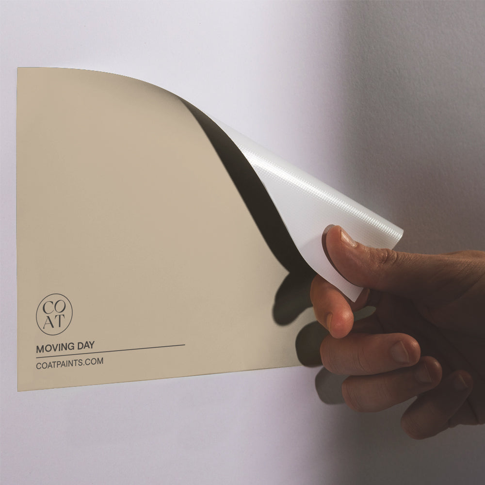 Deep Beige paint called Moving Day by COAT Paints the eco friendly paint company