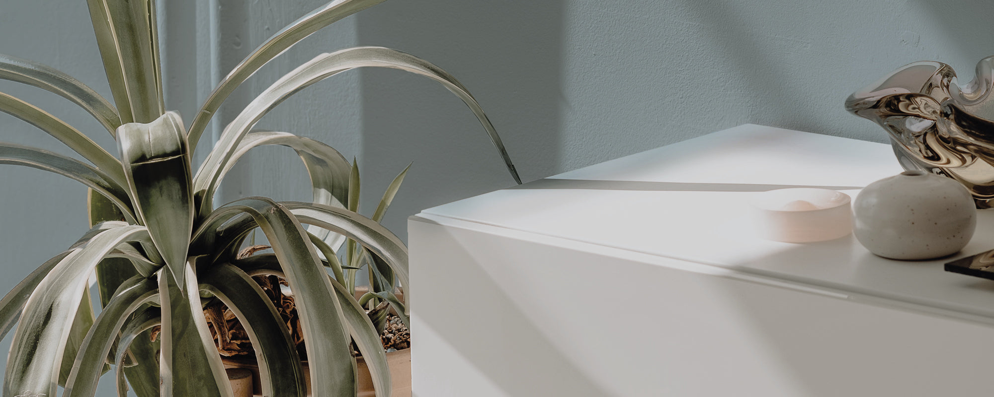 Warm Grey Teal paint called Mr. Clifton by COAT Paints the eco friendly paint company