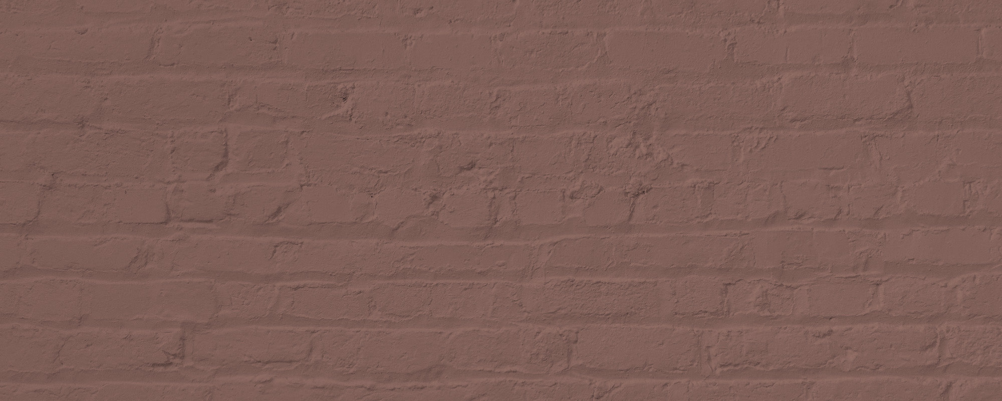 Deep Blush Pink paint called Mrs. Bouquet by COAT Paints the eco friendly paint company