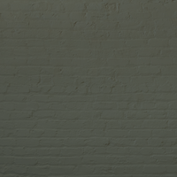 Dark Olive Green paint called Nomad by COAT Paints the eco friendly paint company