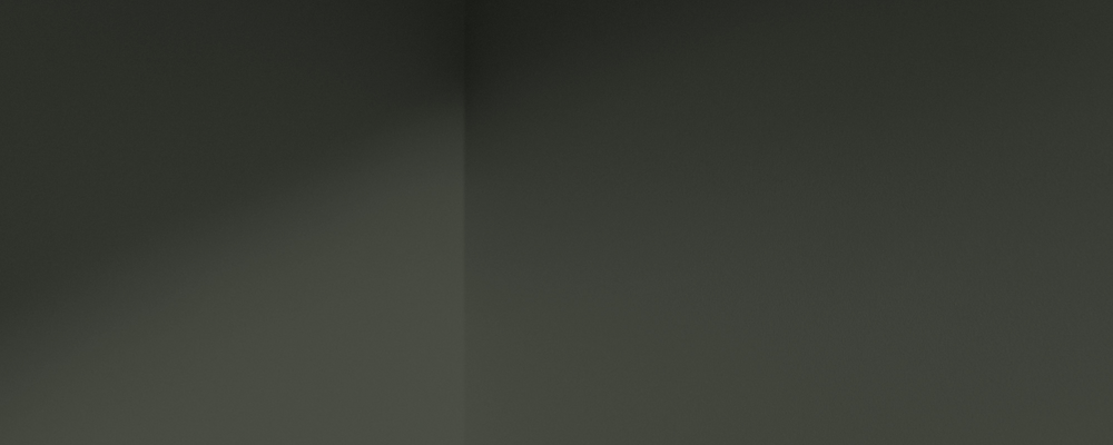 Dark Olive Green Sample Sample called Nomad Sample by COAT Paints the eco friendly paint company