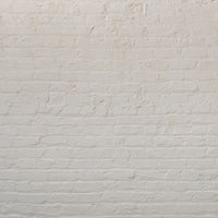 Pale Lilac Greige Sample Sample called Pablo Sample by COAT Paints the eco friendly paint company