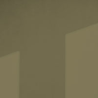 Warm Green Sample Sample called Pan Sample by COAT Paints the eco friendly paint company