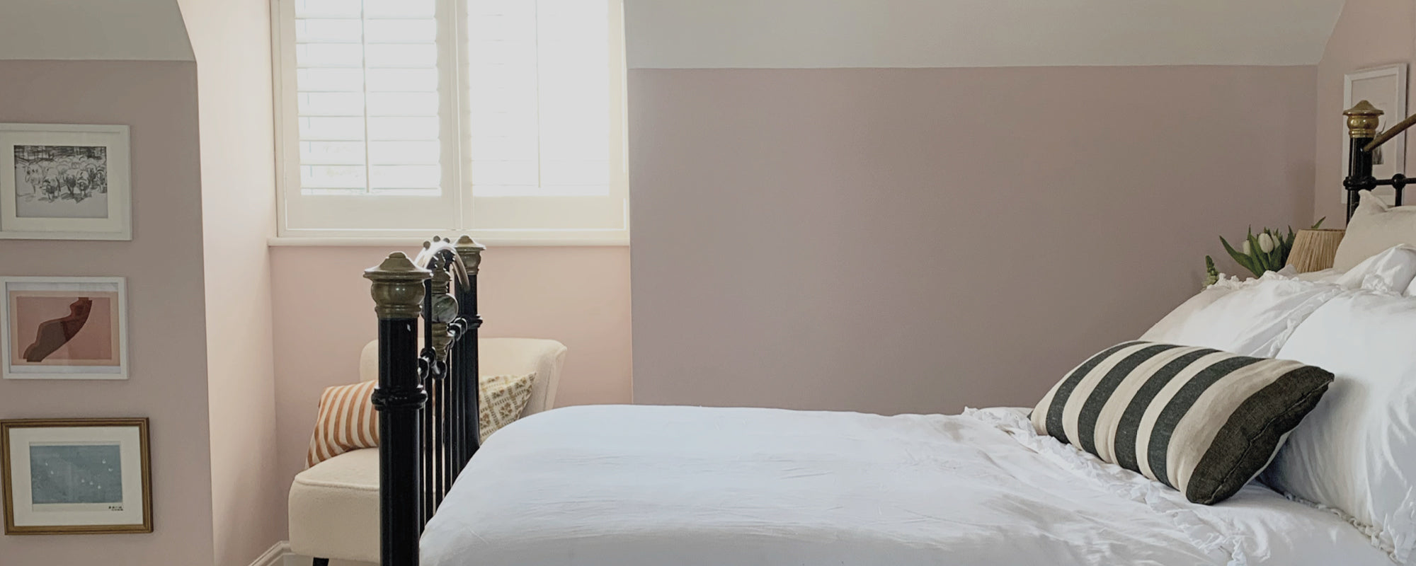 Sugary Pink paint called Percy by COAT Paints the eco friendly paint company