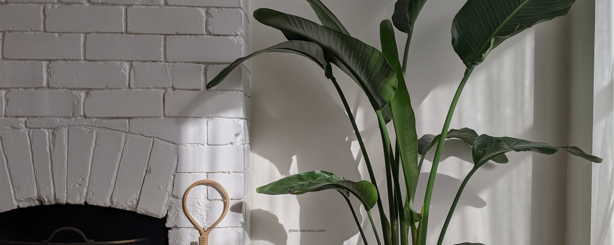 Pure White paint called Screenshot by COAT Paints the eco friendly paint company