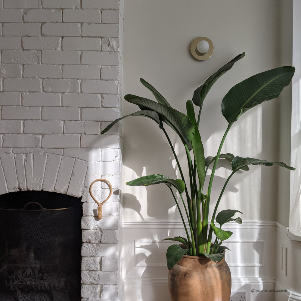 Pure White paint called Screenshot by COAT Paints the eco friendly paint company