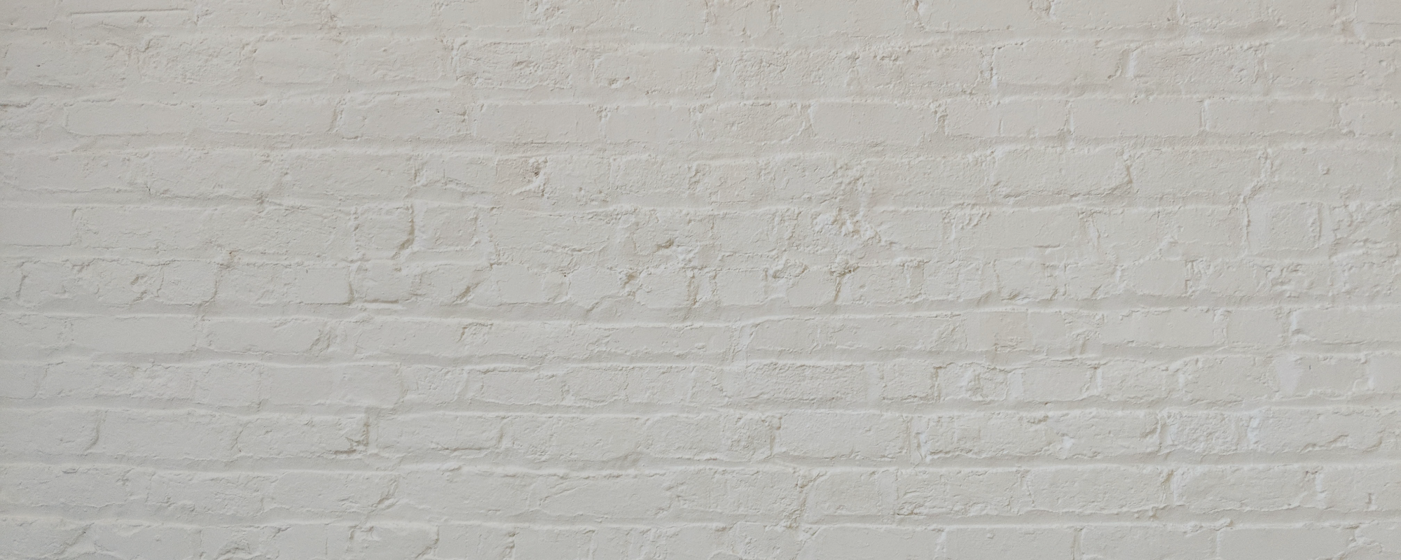 Warm Pale Grey paint called Sweatpants by COAT Paints the eco friendly paint company