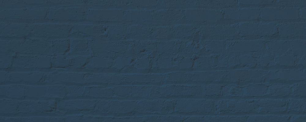 Dark Grey Blue paint called The Establishment by COAT Paints the eco friendly paint company