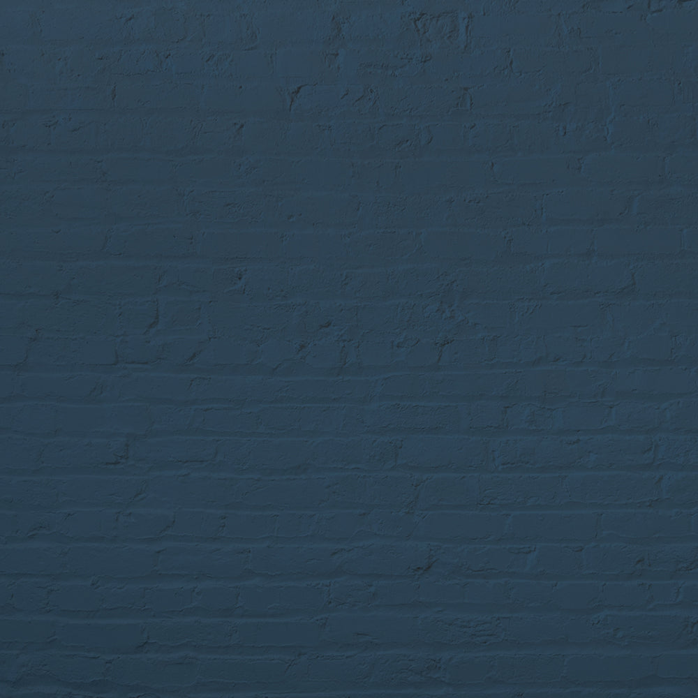 Dark Grey Blue paint called The Establishment by COAT Paints the eco friendly paint company